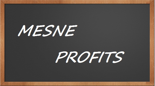 Mesne profits Civil Procedure Code