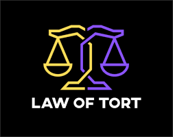 Application of Tort law in Domestic Disputes Tort Law