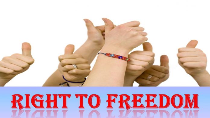 What is the right to freedom Constitution of India