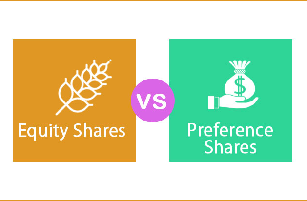 Analysis of preference share and equity share Companies Act 2013