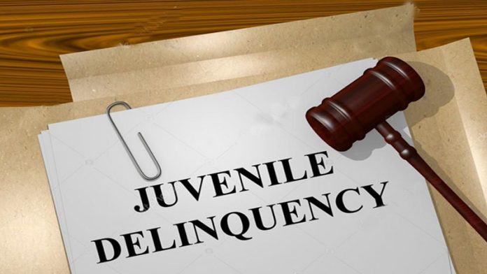 Types of Juvenile Delinquency Juvenile Delinquency