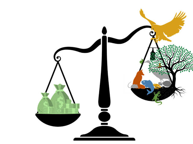 Indian Environment Law