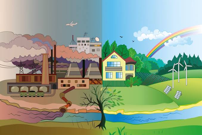 Embracing environmental sustainability