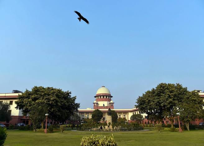 Case summary