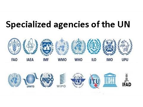 Specialised agencies and organisations of un