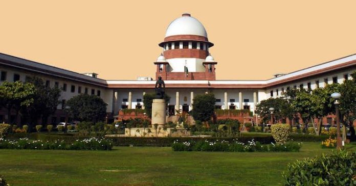 case law