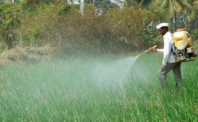 intellectual property rights in agriculture